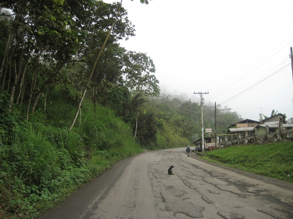 ecuador 359