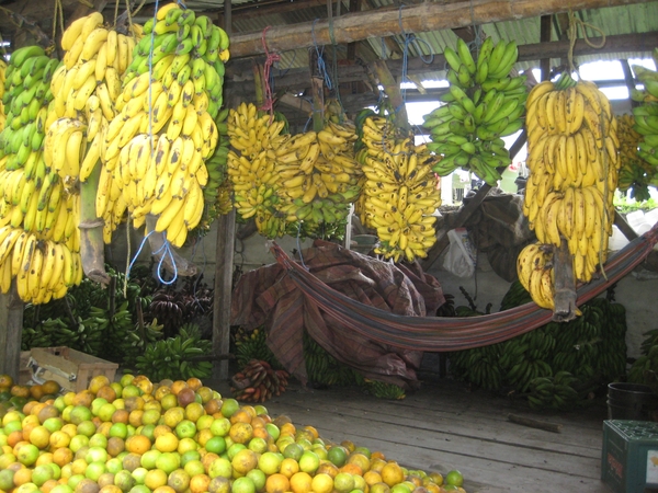 ecuador 361