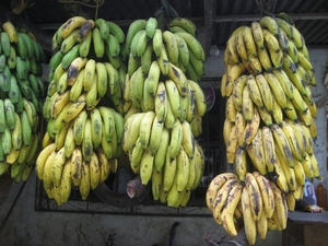 ecuador 362