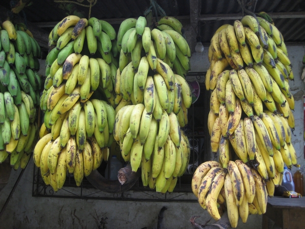 ecuador 362