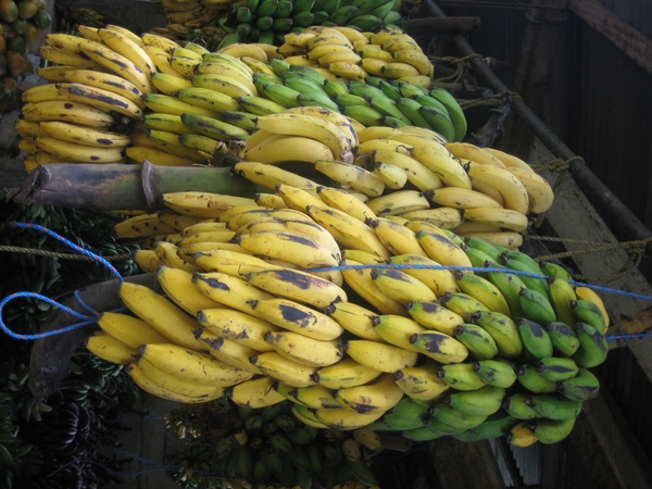 ecuador 363