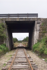 ecuador 117