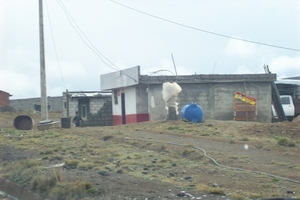 ecuador 177