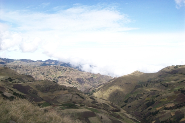 ecuador 221