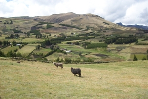 ecuador 224