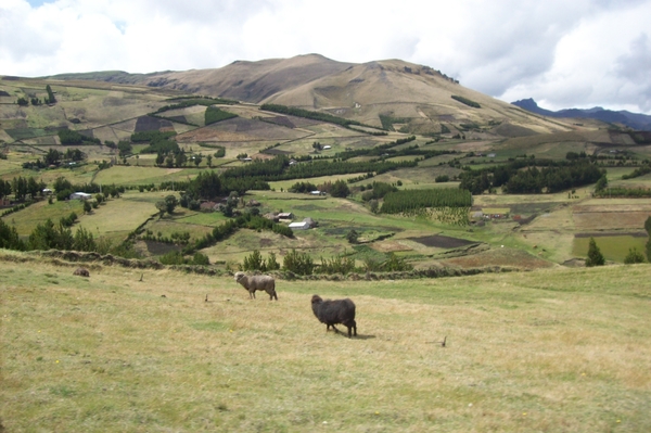 ecuador 224