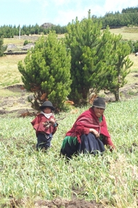 ecuador 228