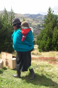 ecuador 230