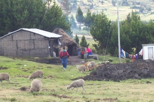 ecuador 232