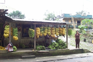 ecuador 332