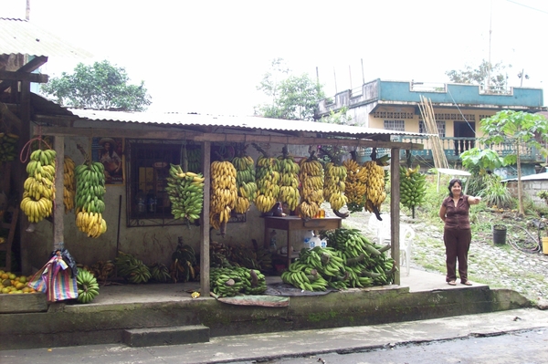 ecuador 332