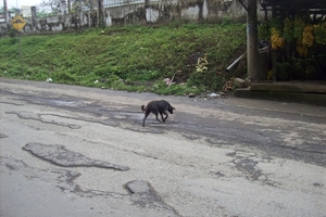 ecuador 333