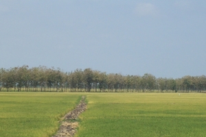 ecuador 439