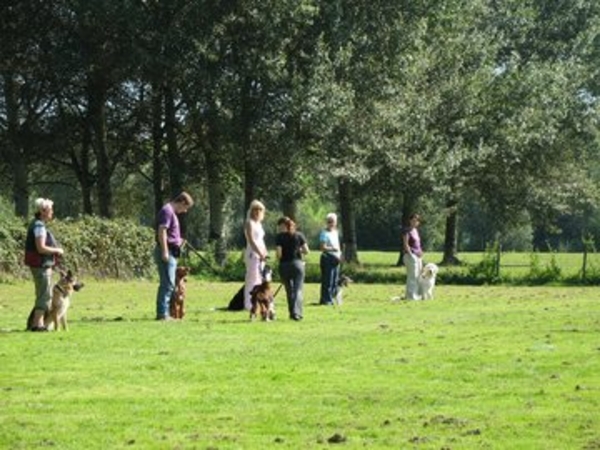 training op het hondenveld