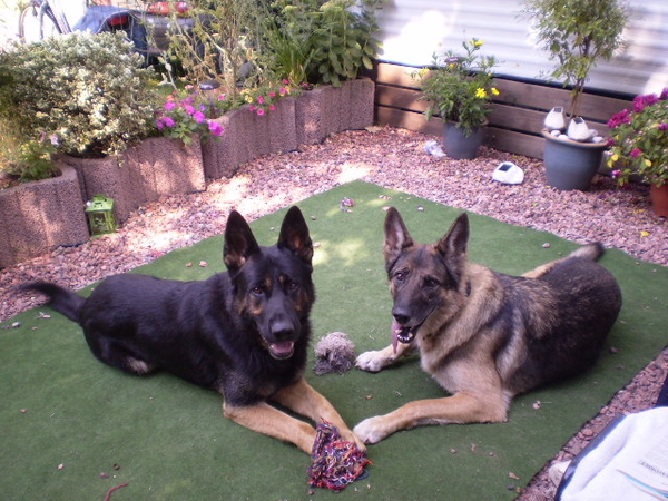 camping 2010