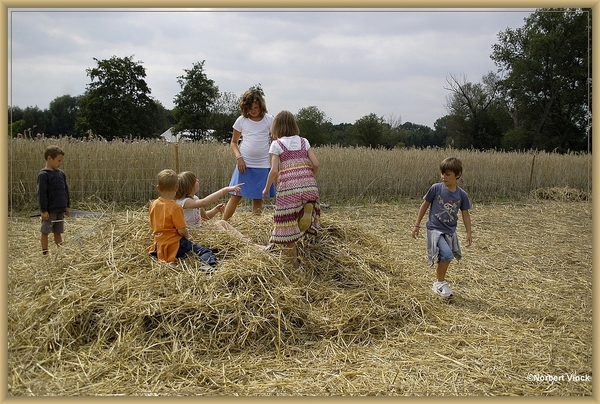 sized_sized_DSC31539a spelen in het stro