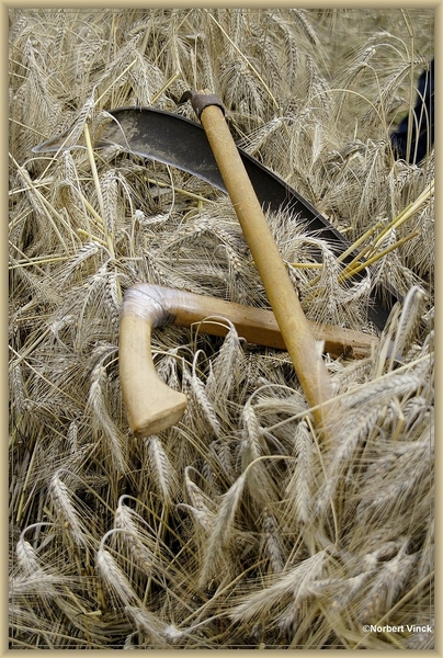 sized_sized_DSC31541a pikgerief