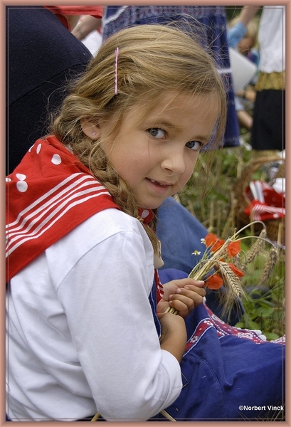 sized_sized_DSC31550a veldbloemen