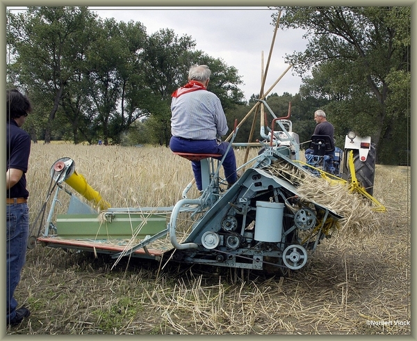 sized_sized_DSC31583a oogsten