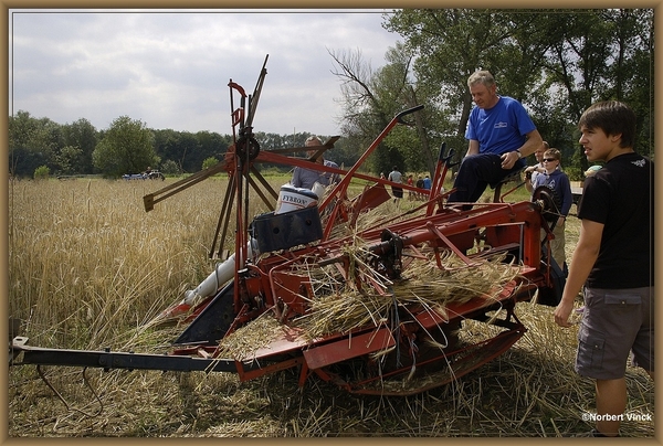 sized_sized_DSC31586a oogsten