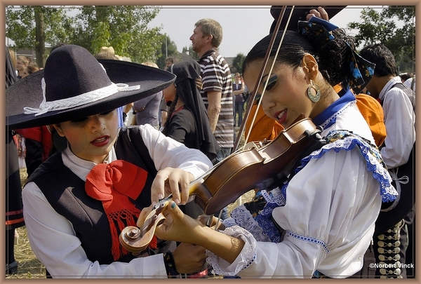 sized_sized_DSC31654a mexico vioolles