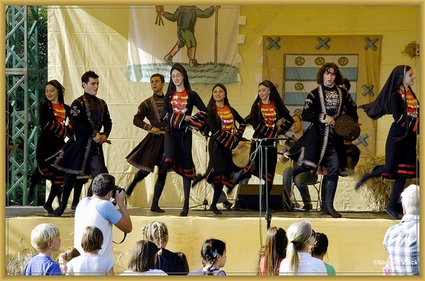 sized_sized_DSC31708a georgia