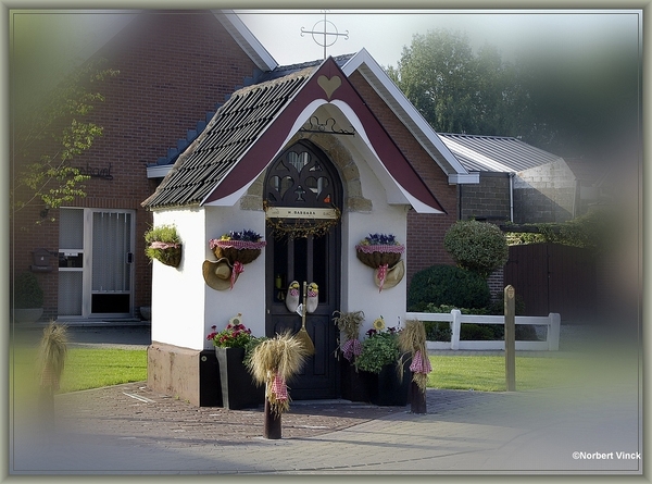 sized_sized_DSC31718a op weg naar de hoeve