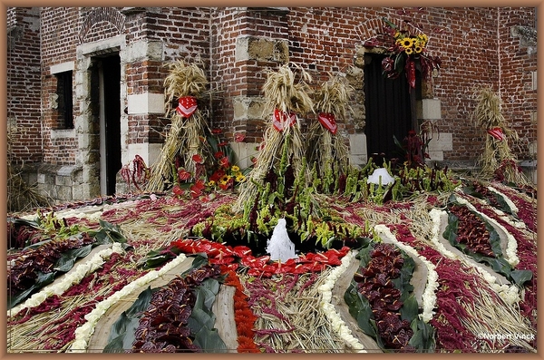 sized_sized_DSC30819a