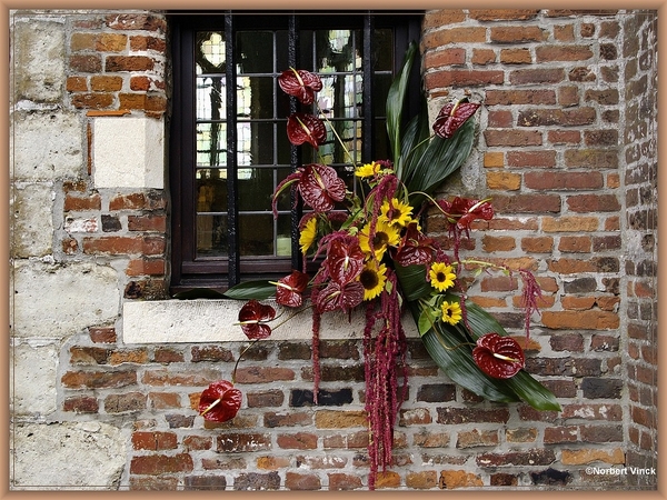 sized_sized_DSC30820a