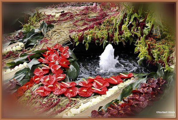 sized_sized_DSC30824a