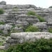 DSCN4762