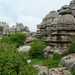 DSCN4770