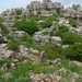 DSCN4771