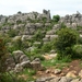 DSCN4773