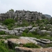 DSCN4776