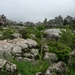 DSCN4777