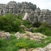 DSCN4779