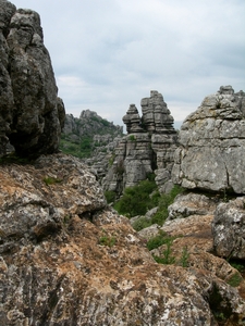 DSCN4780