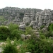 DSCN4781
