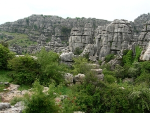 DSCN4781