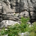DSCN4782