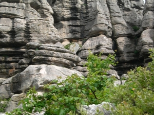 DSCN4782