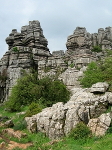 DSCN4786