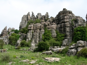 DSCN4789