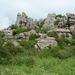 DSCN4790