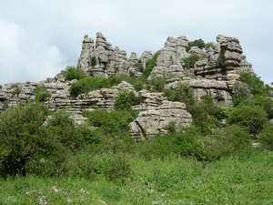 DSCN4790