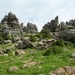 DSCN4791