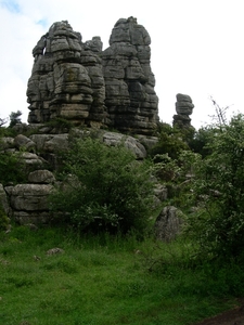 DSCN4792