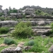 DSCN4795