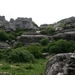 DSCN4797
